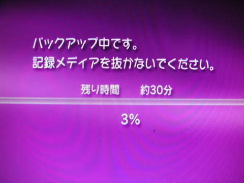 Pict0021